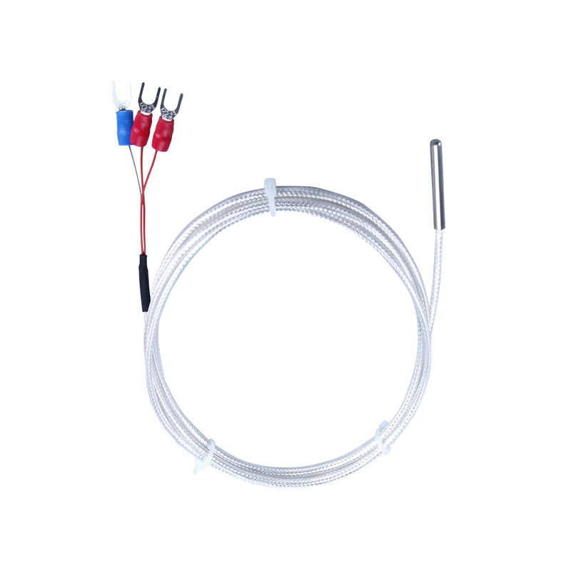 WZP-035 PT100 Probe 5 × 35 มม. 1–20 ม. เครื่องวัดอุณหภูมิความต้านทาน Platinum RTD ทนต่อการกัดกร่อนกันน้ำเซ็นเซอร์อุณหภูมิป้องกันการกัดกร่อน