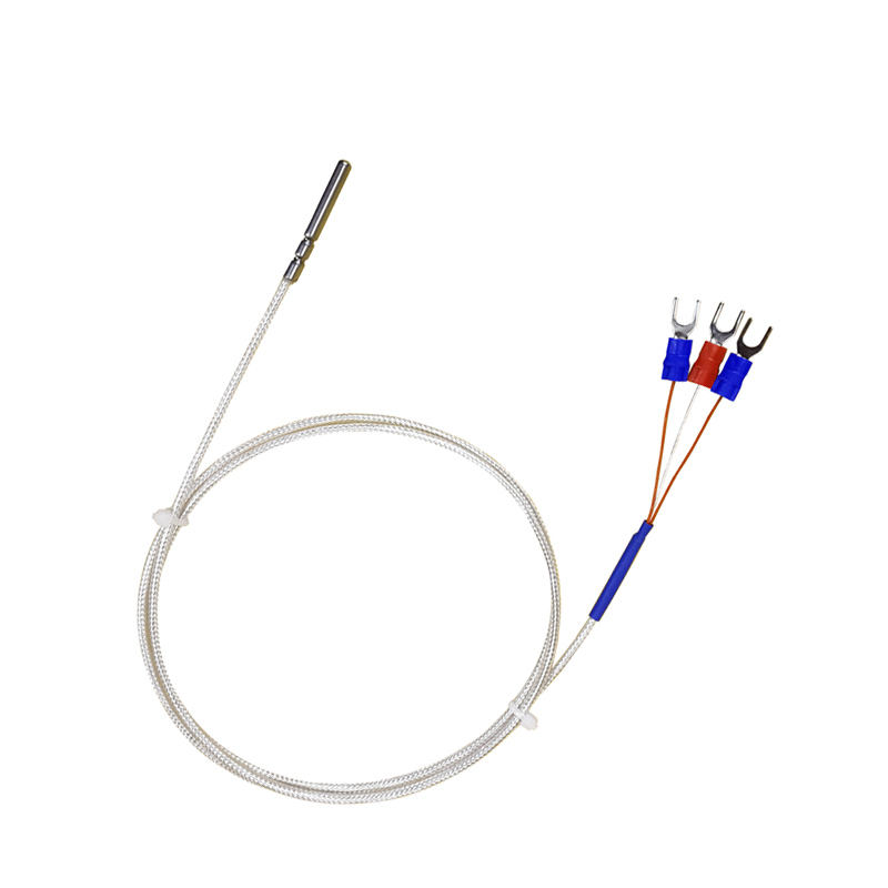 WZP-035 PT100 Probe 5 × 35 มม. 1–20 ม. เครื่องวัดอุณหภูมิความต้านทาน Platinum RTD ทนต่อการกัดกร่อนกันน้ำเซ็นเซอร์อุณหภูมิป้องกันการกัดกร่อน